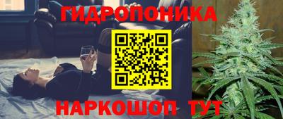 мяу мяу мука Кунгур