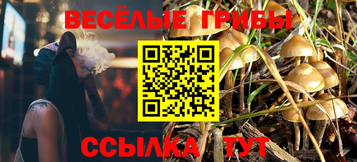 Видное  Галлюциногенные грибы мицелий  Вход с VPN 